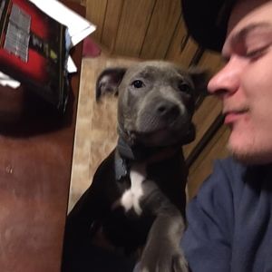 Meet your Posher, Jon